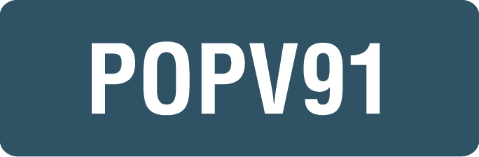Clicca per la scheda tecnica della visiera POPV91